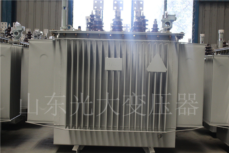 合作S20-1000KVA油浸式变压器